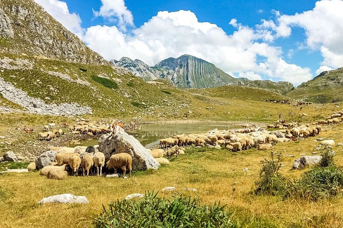 1-Day Montenegro Hiking Tour to Durmitor National Park - Škrčki Pogled, Jablan, and the Black Lake Viewpoint Stops