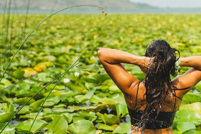1-hour Kayak Adventure through Skadar Lake from Virpazar - Key things to know before you paddle