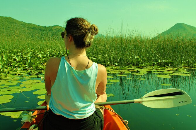 1-hour Kayak Adventure through Skadar Lake from Virpazar - Price and value: $14.60 for a guided, park-fee, gear-included hour