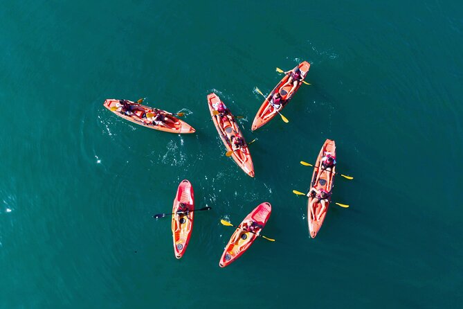 3 Hours Kayaking in Kotor Bay in Montenegro - Key highlights you should know