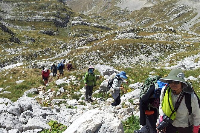8-Day Tour Montenegro Durmitor Mountain and Adriatic Coast - Perast base: a waterfront hotel that makes the coast feel real