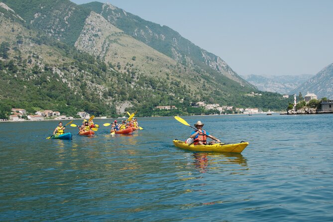 Bay of Kotor: 2.5-Hour Kayak Tour - Price and value: how $60.21 fits a 2.5-hour morning