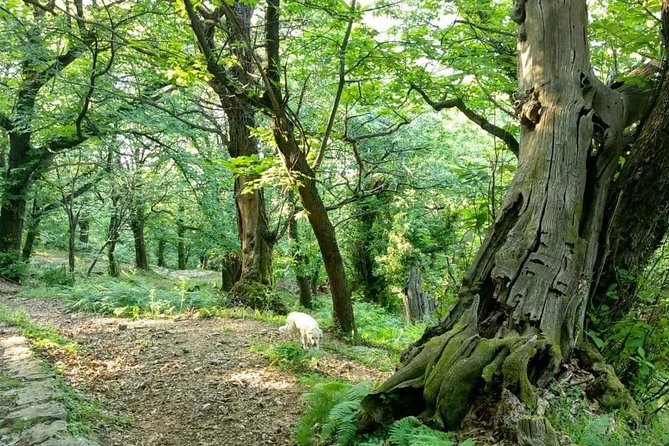 Bike & hike tour - The optional ancient church leg that many people skip too fast