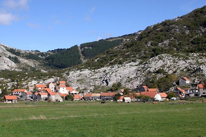 Bike tour - Panoramic downhill from Njeguši and Kotor serpentines - Why this Njeguši-to-Kotor descent feels worth your time