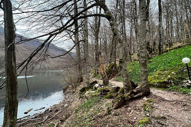 Biogradska Gora National Park Tour with Optional Add-Ons - Adding Skadar Lake National Park by Boat From Virpazar