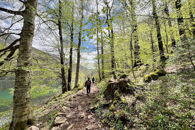 Biogradska Gora National Park Tour with Optional Add-Ons - Price and Value: What You’re Paying For (and What to Budget)