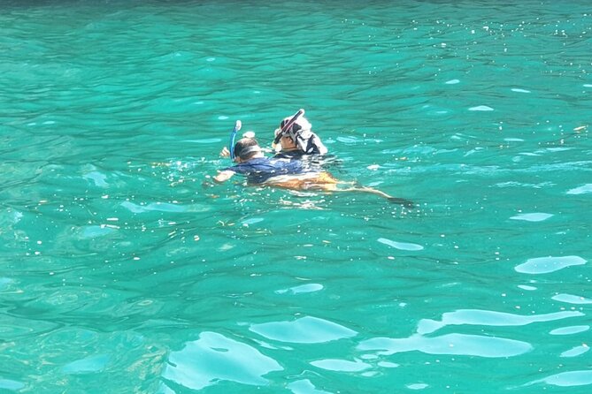 Blue Cave, Lady of Rocks , Perast and Mamula Speedboattour MW - Key highlights in plain terms
