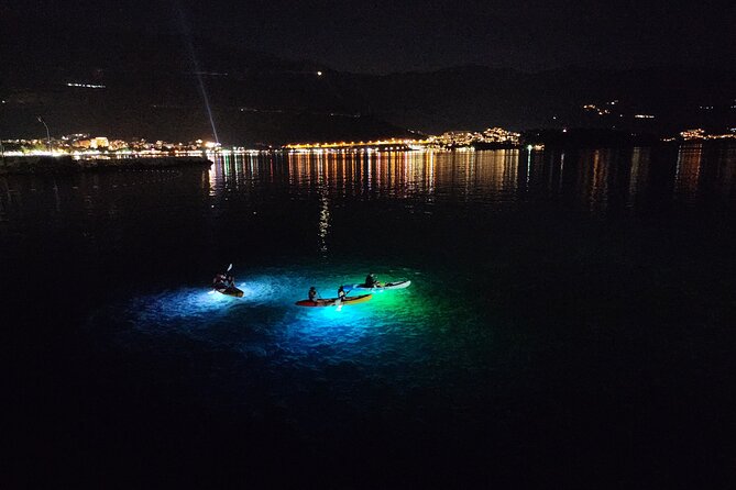 Budva: 2-Hour «Night Lights» Kayak Tour - The glowing seabed: what you might see under the LED light