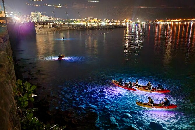 Budva: 2-Hour «Night Lights» Kayak Tour - Who should book this night lights kayak tour