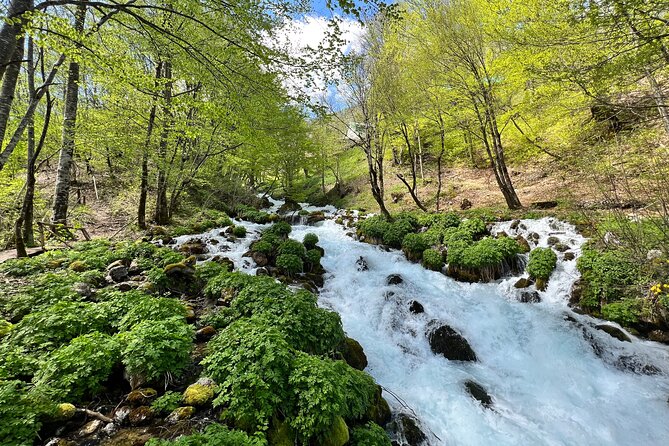 Durmitor - Black Lake & Tara River Canyon - North Montenegro tour - Private pickup from Podgorica, and why the timing feels easier