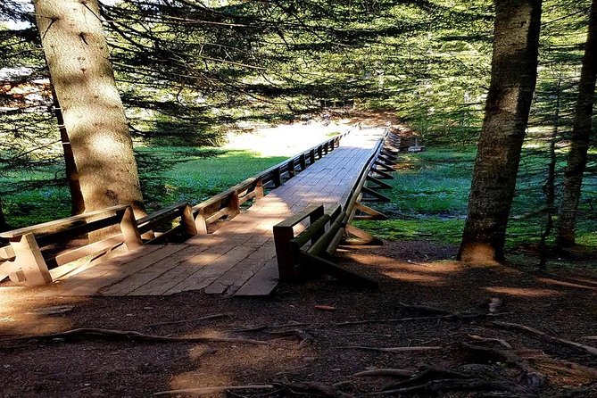 Durmitor National Park hiking tour - easy to moderate - Durmitor From Zabljak: Why This Hike Works