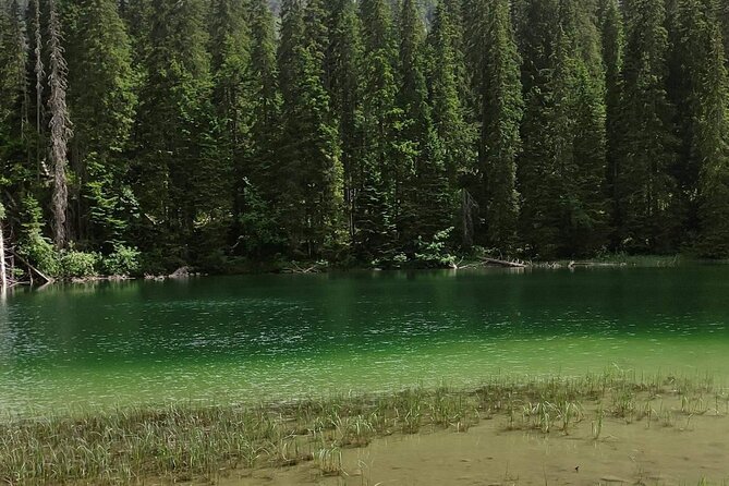 Durmitor National Park hiking tour - easy to moderate - Bašća Village: A Brief Taste of Rural Durmitor Life