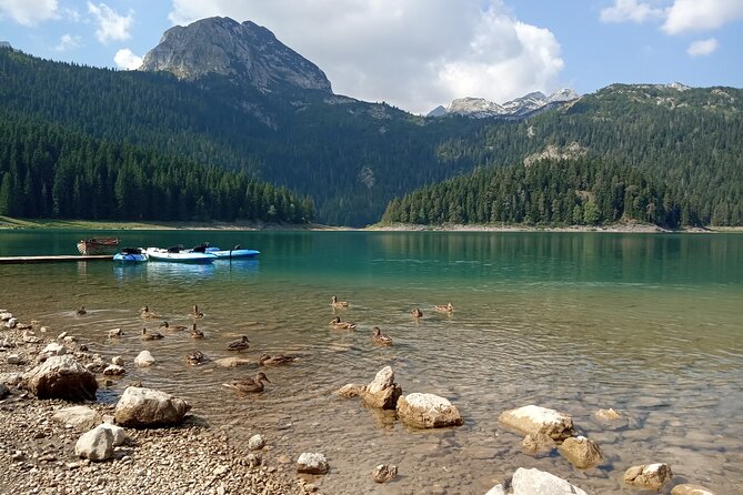 Durmitor NP private tour- Among Katuns, Shepherds and Geological Miracles - Price and what you’re really paying for ($173.64 per person)