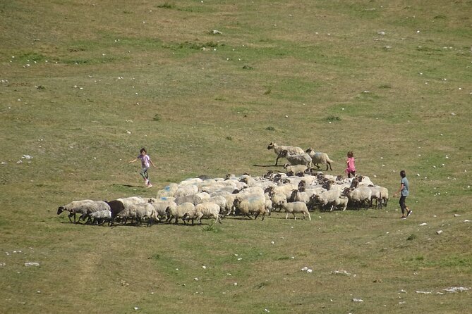 Durmitor NP private tour- Among Katuns, Shepherds and Geological Miracles - Stećci tombstones and the meaning behind old stone