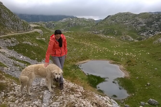 Durmitor NP private tour- Among Katuns, Shepherds and Geological Miracles - Piva Canyon lookouts and Piva Lake: water power in quiet form