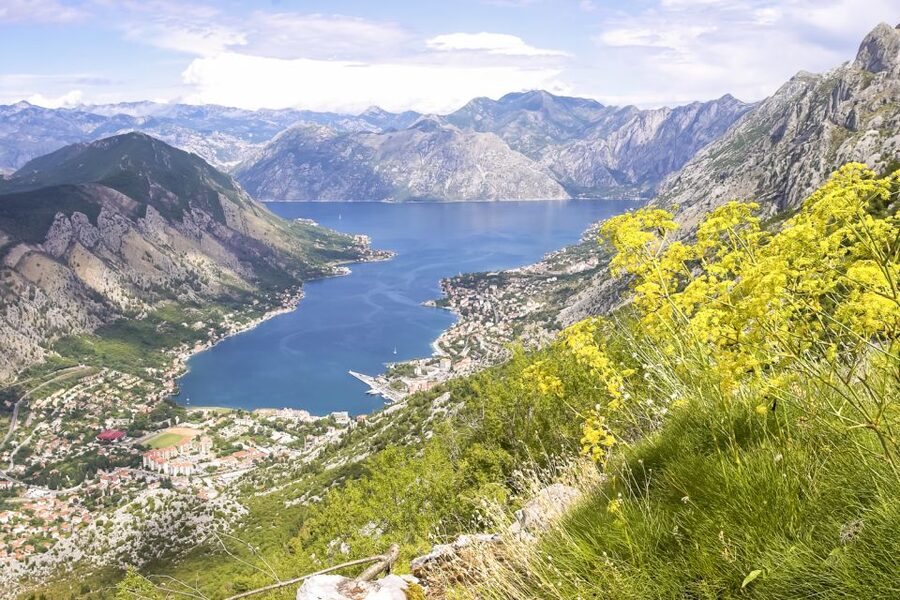 From Dubrovnik: Montenegro Day Trip - Kotor Old Town: Walls, Alleys, and the 1 Euro Entry Detail