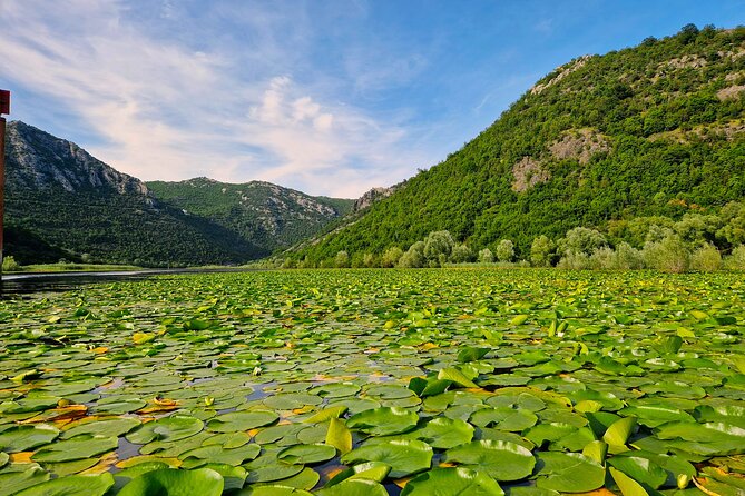 From Virpazar: Visit Karuč, the hidden pearl of Lake Skadar - Lesendro fortress sightings from the water