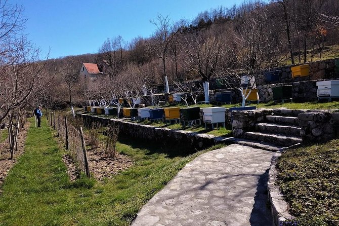 Gastronomy and Sightseeing in Montenegro - Lake Skadar & Cetinje Private Tour - Key things to know before you go