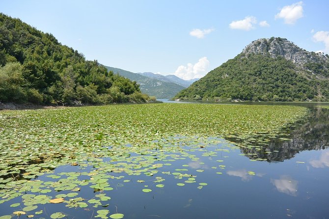 Gastronomy and Sightseeing in Montenegro - Lake Skadar & Cetinje Private Tour - Cetinje Walking Route, Monastery, Castles, and a City Museum Feel