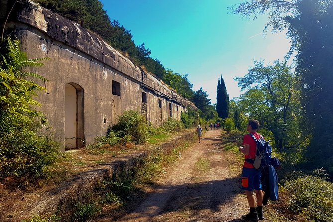 Hiking Vrmac peninsula with panoramic view on Kotor bay - The Hike to Sveti Ilija: A Guided Climb With Big View Payoff