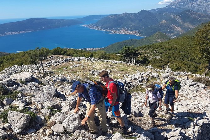 Hiking Vrmac peninsula with panoramic view on Kotor bay - How the Pace Feels Over 5 to 6 Hours