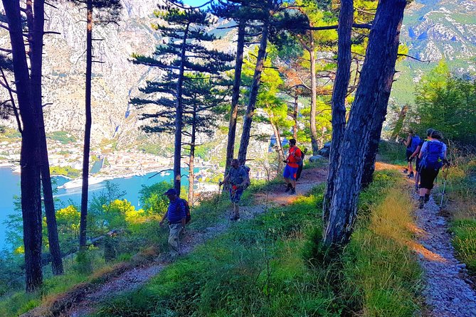 Hiking Vrmac peninsula with panoramic view on Kotor bay - What the Guide Adds, Including Stories From Milija and Ivana