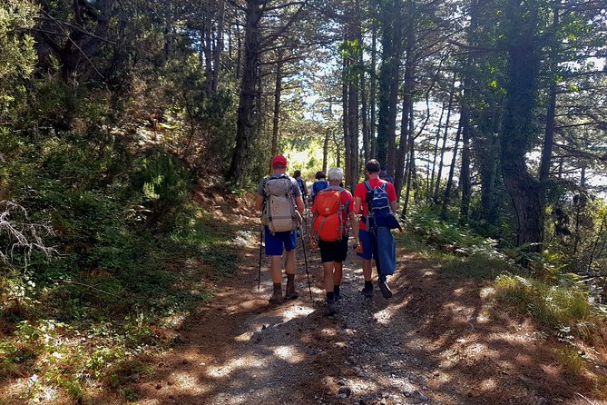 Hiking Vrmac peninsula with panoramic view on Kotor bay - Price and Value: Is $114.48 Worth It?