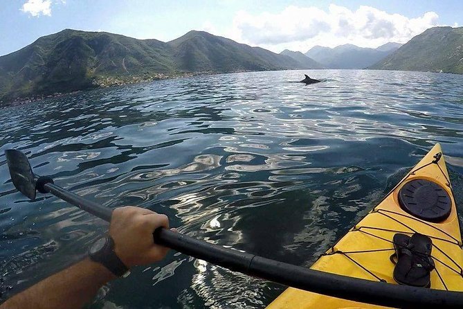Kayak active tour - Why This Kotor Bay Kayak Trip Feels Like the Bay, Not a Checklist