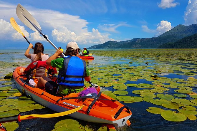 Kayak Guided Tour Skadar lake - Adventure in National park - Key things to know before you go