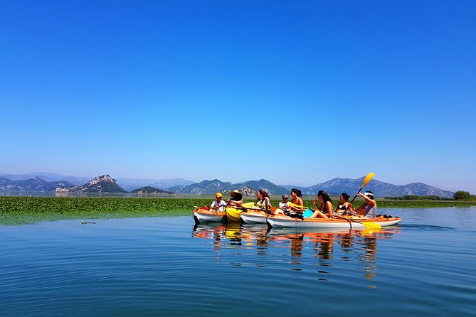 Kayak Guided Tour Skadar lake - Adventure in National park - Skadar Lake by kayak: the value of a guided route