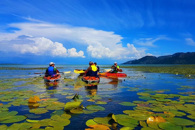 Kayak Guided Tour Skadar lake - Adventure in National park - Stop 2 at Fort Lesendro: castle time without the fatigue