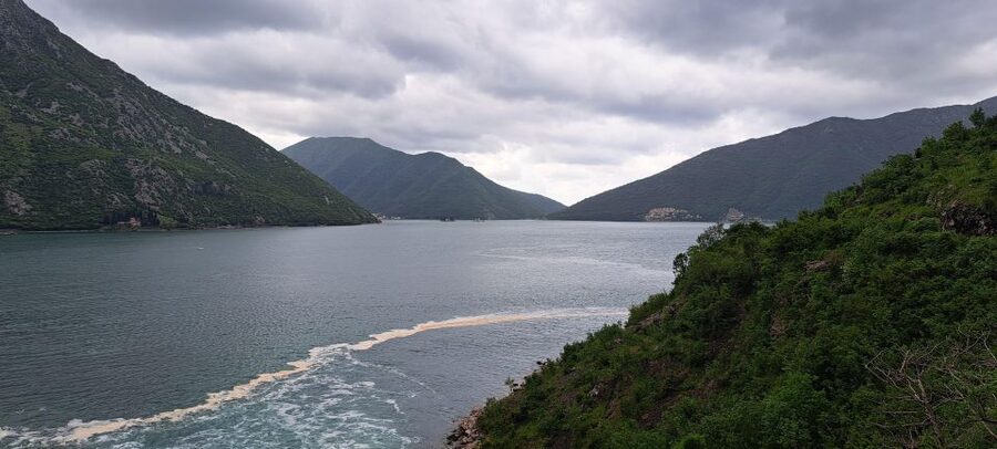 Montenegro: Perast & Kotor - Day Trip from Dubrovnik - Key highlights you will actually feel
