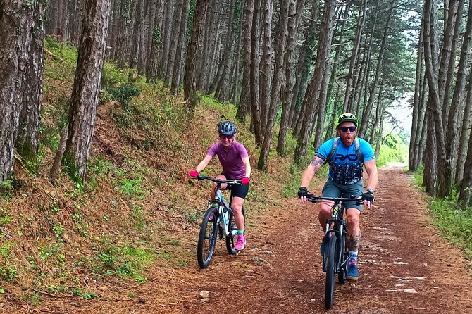Mountain Biking on Vrmac peninsula - Panoramic view on Kotor bay - Why Vrmac Peninsula Biking Beats a Standard Viewpoint Stop