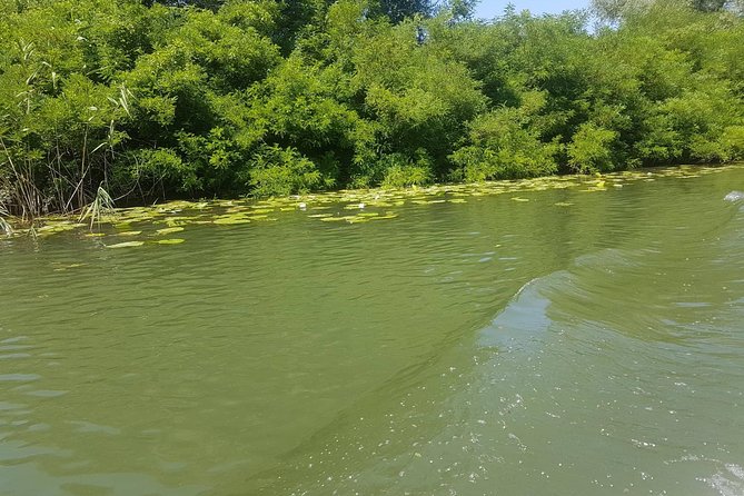 National park Skadar Lake (Private tour) - Boat trip on Lake Skadar: where the day turns into real vacation time