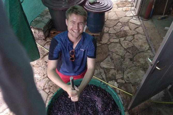 National parks and wine tasting (NP Lovcen, NP Skadar lake, Cetinje, Njegusi) - Getting oriented from Podgorica, then moving fast
