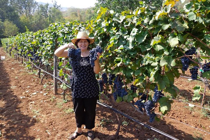 National parks and wine tasting (NP Lovcen, NP Skadar lake, Cetinje, Njegusi) - Karuc and Rvasji: family wine tasting on a traditional production path
