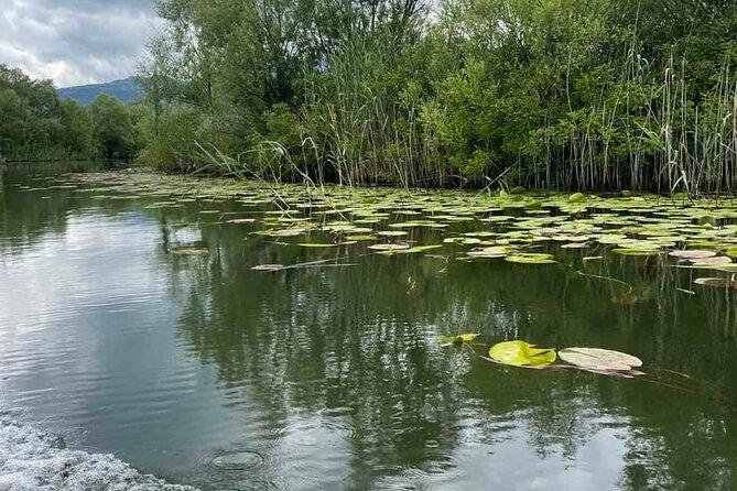 Noah's Ark Skadar Lake Journey - Getting to the journey: pickup, timing, and a realistic schedule