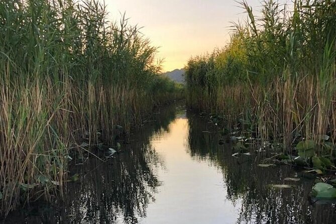 Noah's Ark Skadar Lake Journey - Food and drinks on the water: fish, homemade wine, and lunch-style comfort