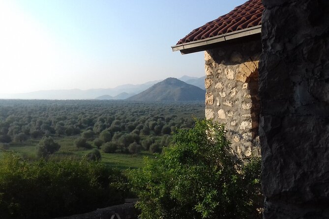 Noah's Ark Skadar Lake Journey - Lake Skadar boat time: Virpazar, Poseljani, and that slow-water feeling