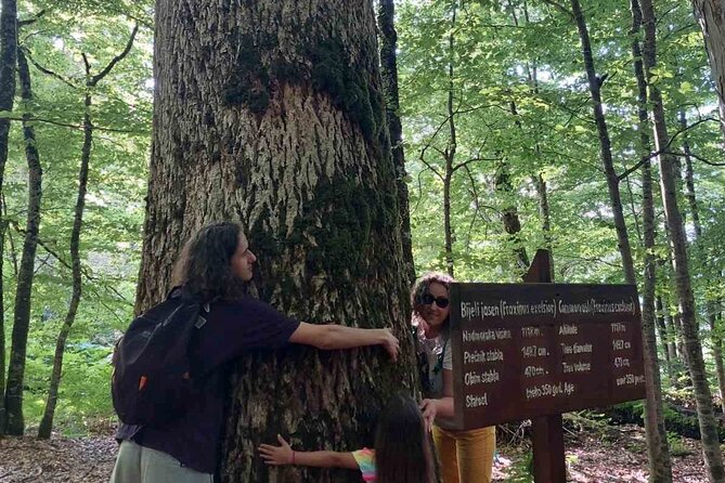 NORTH TOUR Np Biograd Gora-Lake-Moraca Canyon & Monastery-Kolasin - Moraca River Canyon: E65 bends, tunnels, and breathless viewpoints