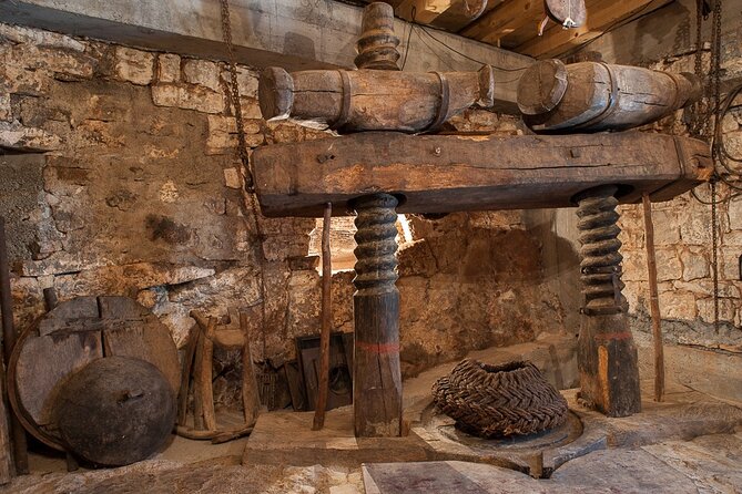 Olive oil farm to fork experience & short walking tour of Kotor - The meet-the-family moment: a 200-year estate with nearly 1,000 trees