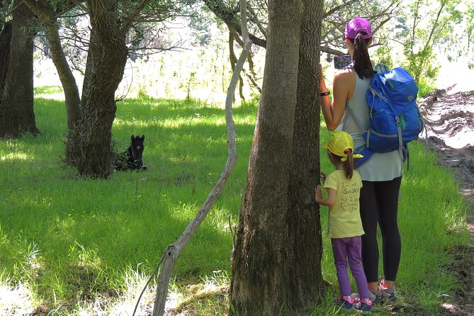 Podgorica Historic, Safari and Winery tour - Skadar lake and River Crnojevica - Bisevina: the wild-horse stop that changes your whole mood