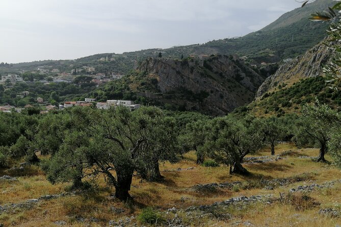 Port of Bar tour - Explore Adriatic area - Bar and Ulcinj tour - Key Highlights You Will Feel on the Day