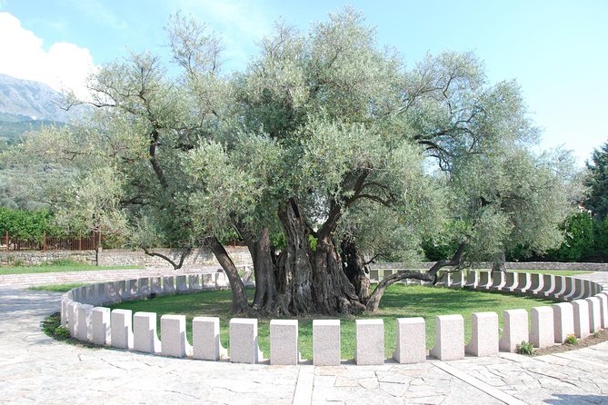Port of Bar tour - Explore Adriatic area - Bar and Ulcinj tour - Stop 3, Ulcinj Old Town: Balsica Tower, Slave Market Area, and Cervantes Lore