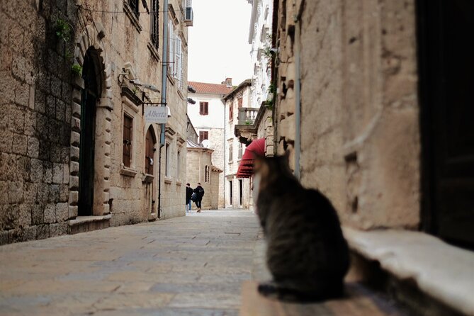 Port of Kotor - Kotor-Perast-Our lady of the rocks private tour - Pickup and logistics that save real vacation time