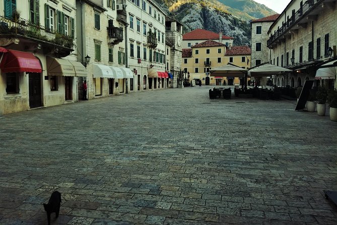 Port of Kotor - Kotor-Perast-Our lady of the rocks private tour - Guide quality: licensed touring with Djordje