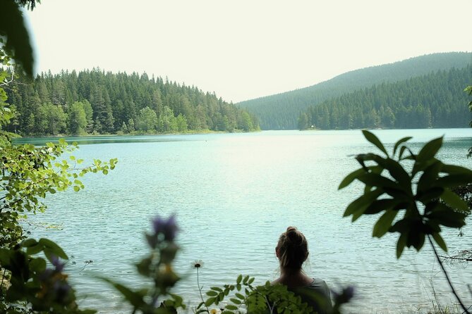 Private Durmitor National Park and Black Lake Tour - Durmitor National Park Drive: Panoramas Without a Full Day of Hiking