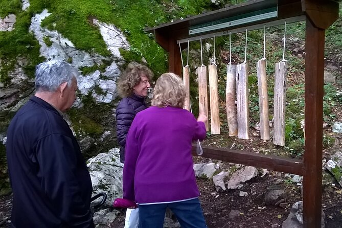 Private Full-Day Tour in Moraca and Tara Canyons, Durmitor & Biogradska Gora NP - Biogradska Gora National Park: primeval forest and a gentle 3.3 km lake walk