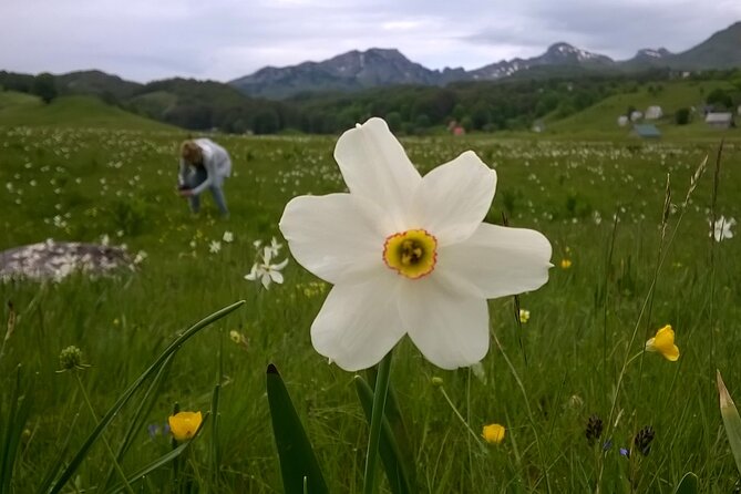 Private Full-Day Tour in Moraca and Tara Canyons, Durmitor & Biogradska Gora NP - Crno Jezero in Durmitor: the mountain eyes finale at 1,500 m