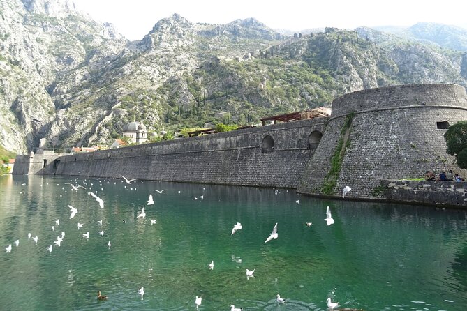Private Full-Day Tour -Kotor tour, Saint Stefan & NP Skadar Lake - Kotor old town on foot: walls, churches, and a breather